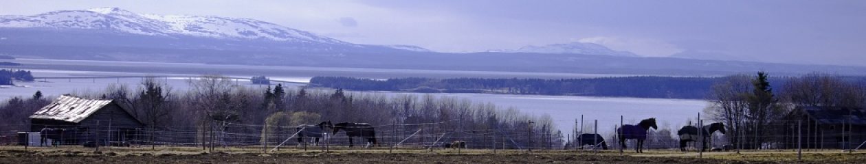 Valhalls samfällighetsförening